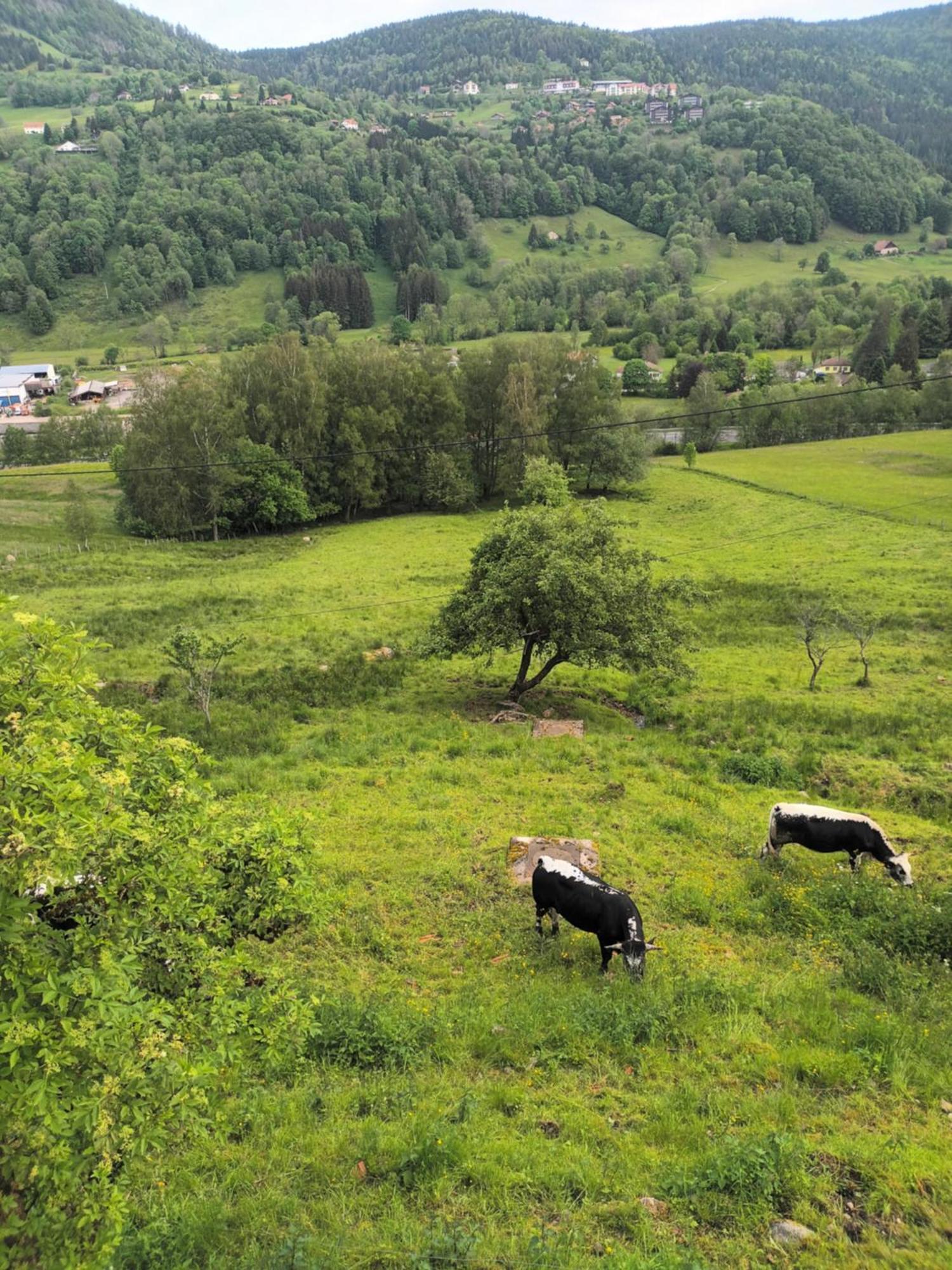 Gite Bussang Eksteriør bilde